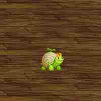 dnf蔬果精灵宠物怎么获得 dnf手游礼包领取大全