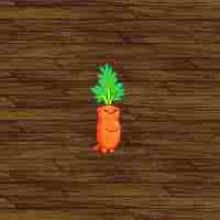 dnf蔬果精灵宠物怎么获得 dnf手游礼包领取大全