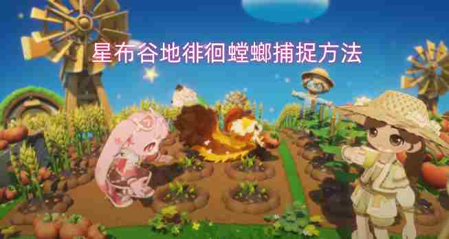 星布谷地徘徊螳螂捕捉方法指南 螳螂在哪里抓