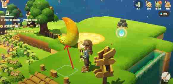 星布谷地徘徊螳螂捕捉方法指南 螳螂在哪里抓