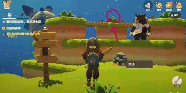 星布谷地徘徊螳螂捕捉方法指南 螳螂在哪里抓