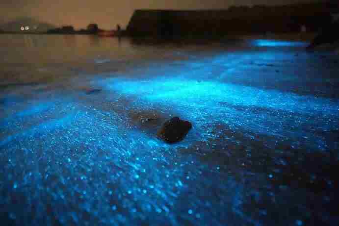 倩女手游3月时装 倩女幽魂所有时装图