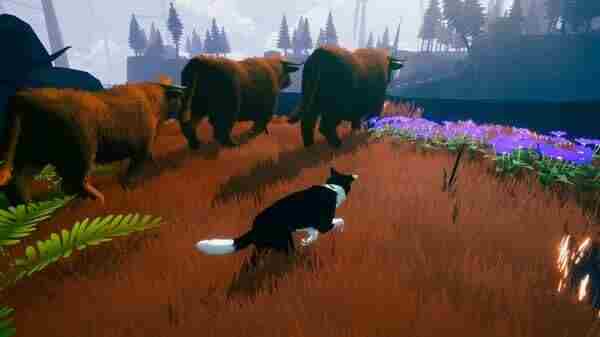 NOVA海外独立游戏见闻 switch冒险类游戏