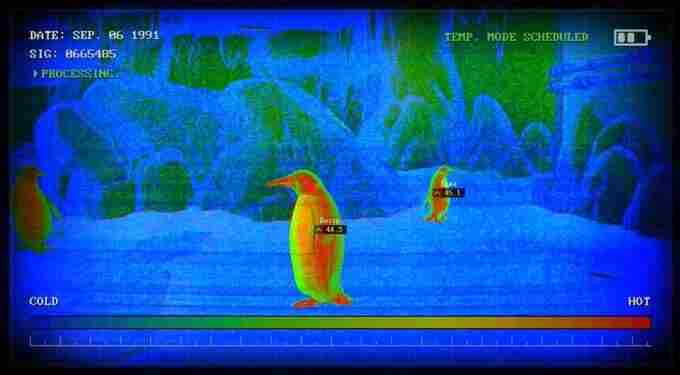 癫狂动物园发售日预告|模拟游戏|现名|突变体|#癫狂动物园#|游戏