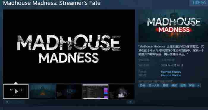 steam游戏资讯的个人空间 疯人院 游戏