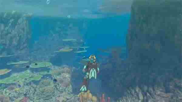 永恒蔚蓝:流光“海洋之声”预告