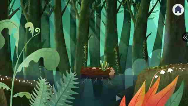 梦幻启航 奇幻森林简介