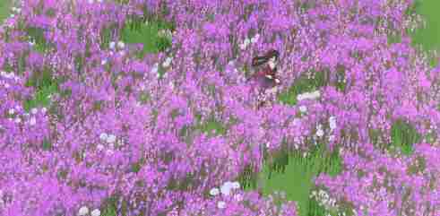 宝鉴流霞灿比日月 倩女手游师徒任务最新猜成语