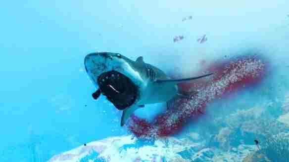 微博删文多益“暴论”;贪玩、大梦龙途新游猛投;肯德基回应恋与