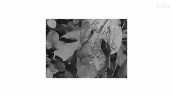 补充能量最好的方式:读书 惊悚游戏是什么意思