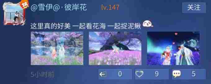 倩女手游落霞峰大地图上线 倩女幽魂神仙居什么时候开服