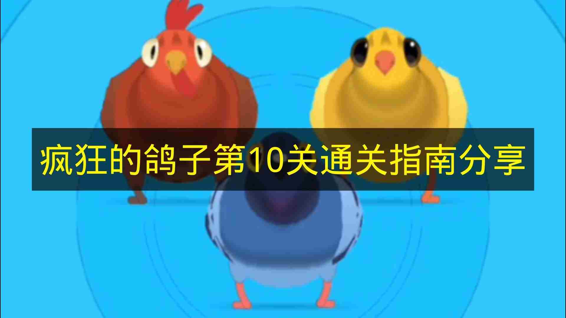 疯狂的鸽子攻略大全 做种的鸽子一直关死棚满