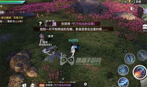 天谕手游攻略 天谕不知名的花瓣具体位置