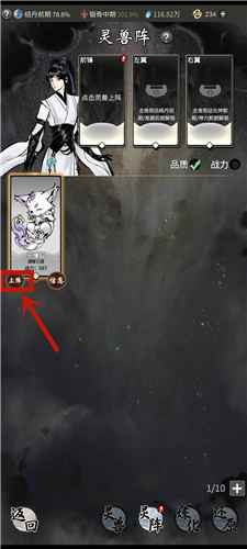 一念逍遥灵兽怎么出战 上阵带灵兽操作教学