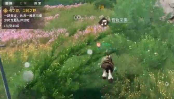 公告板任务】新手委托·课堂展示二(播放昆虫的声音) 天谕手游下载